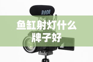 鱼缸射灯什么牌子好  第1张