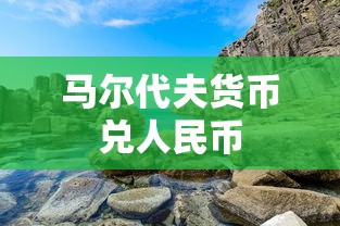 马尔代夫货币兑人民币  第1张