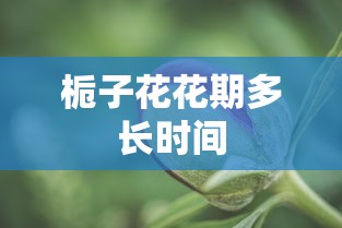 栀子花花期多长时间  第1张