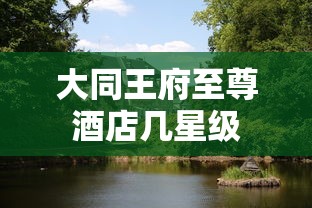 大同王府至尊酒店几星级  第1张
