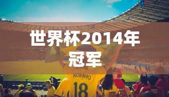 世界杯2014年冠军  第1张
