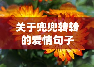 关于兜兜转转的爱情句子  第1张