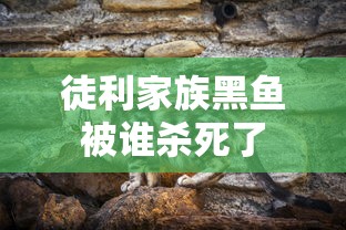 徒利家族黑鱼被谁杀死了  第1张
