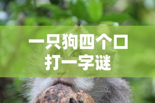 一只狗四个口打一字谜  第1张