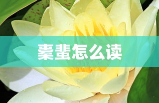 橐蜚怎么读  第1张