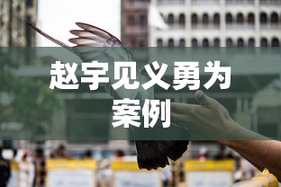 赵宇见义勇为案例  第1张