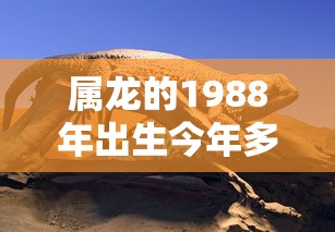属龙的1988年出生今年多大  第1张