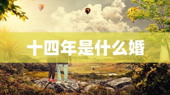十四年是什么婚  第1张