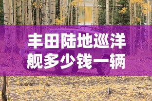 丰田陆地巡洋舰多少钱一辆  第1张
