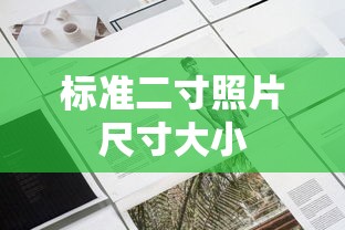 标准二寸照片尺寸大小  第1张