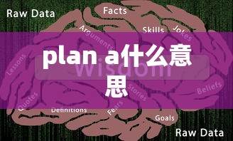 plan a什么意思  第1张