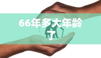 66年多大年龄了  第1张