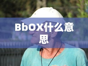BbOX什么意思  第1张