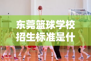 东莞篮球学校招生标准是什么  第1张