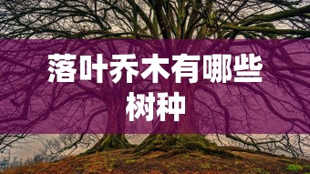 落叶乔木有哪些树种  第1张