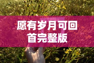 愿有岁月可回首完整版  第1张