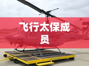 飞行太保成员  第1张