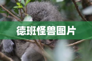 德班怪兽图片  第1张