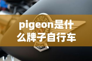 pigeon是什么牌子自行车  第1张