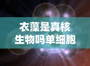 衣藻是真核生物吗单细胞生物  第1张