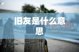 旧友是什么意思  第1张