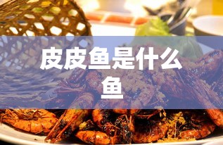 皮皮鱼是什么鱼  第1张