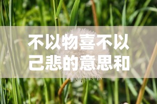 不以物喜不以己悲的意思和含义  第1张