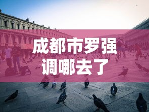 成都市罗强调哪去了  第1张