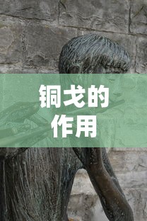 铜戈的作用  第1张