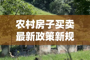农村房子买卖最新政策新规  第1张