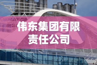 伟东集团有限责任公司  第1张