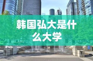 韩国弘大是什么大学  第1张