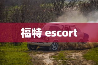 福特 escort  第1张