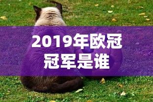 2019年欧冠冠军是谁  第1张