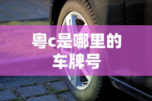 粤c是哪里的车牌号  第1张