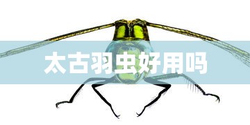 太古羽虫好用吗  第1张