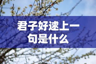 君子好逑上一句是什么  第1张