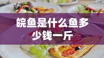 chefs是什么意思  第1张