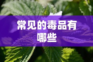 常见的毒品有哪些  第1张