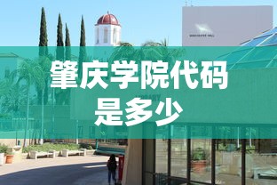 肇庆学院代码是多少  第1张
