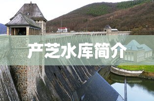 产芝水库简介  第1张
