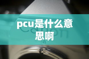 pcu是什么意思啊  第1张