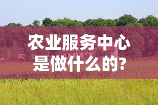 农业服务中心是做什么的?有编制吗  第1张