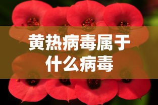青云志每集介绍  第1张