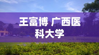 王富博 广西医科大学  第1张