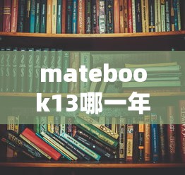 matebook13哪一年的  第1张