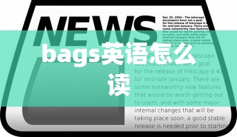 bags英语怎么读  第1张