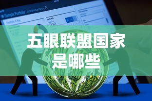五眼联盟国家是哪些  第1张