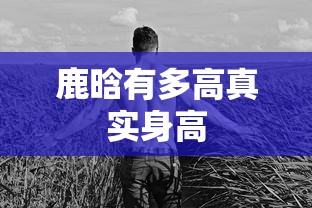 鹿晗有多高真实身高  第1张