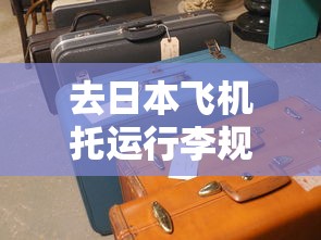 去日本飞机托运行李规定重量  第1张